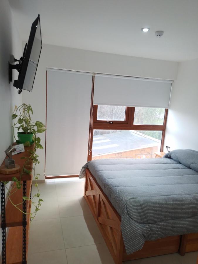 Departamento Centrico Krenn Apartment Ushuaia Luaran gambar
