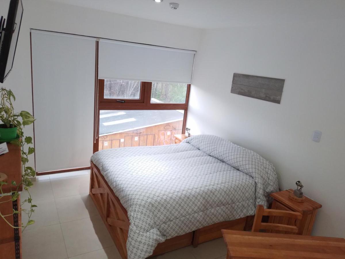 Departamento Centrico Krenn Apartment Ushuaia Luaran gambar